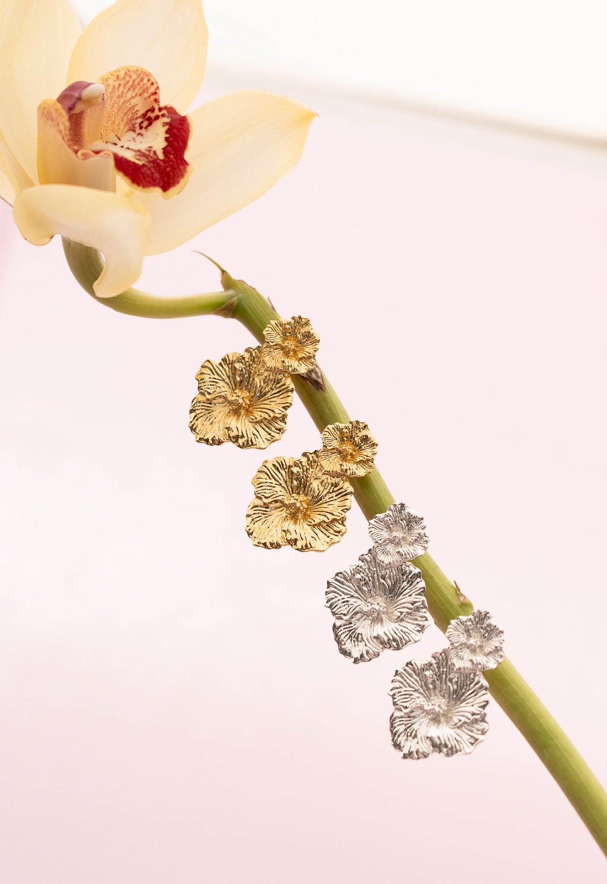 Aretes Maxi Cayena Plata
