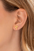 Aretes Colibri