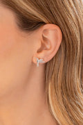 Aretes Colibrí Plata