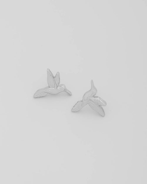 Aretes Colibrí Plata